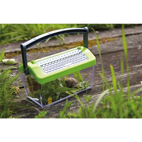 Boîte à insectes