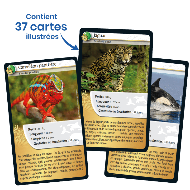 Defis Nature - Edition 15ème Anniversaire (Best of Animaux)