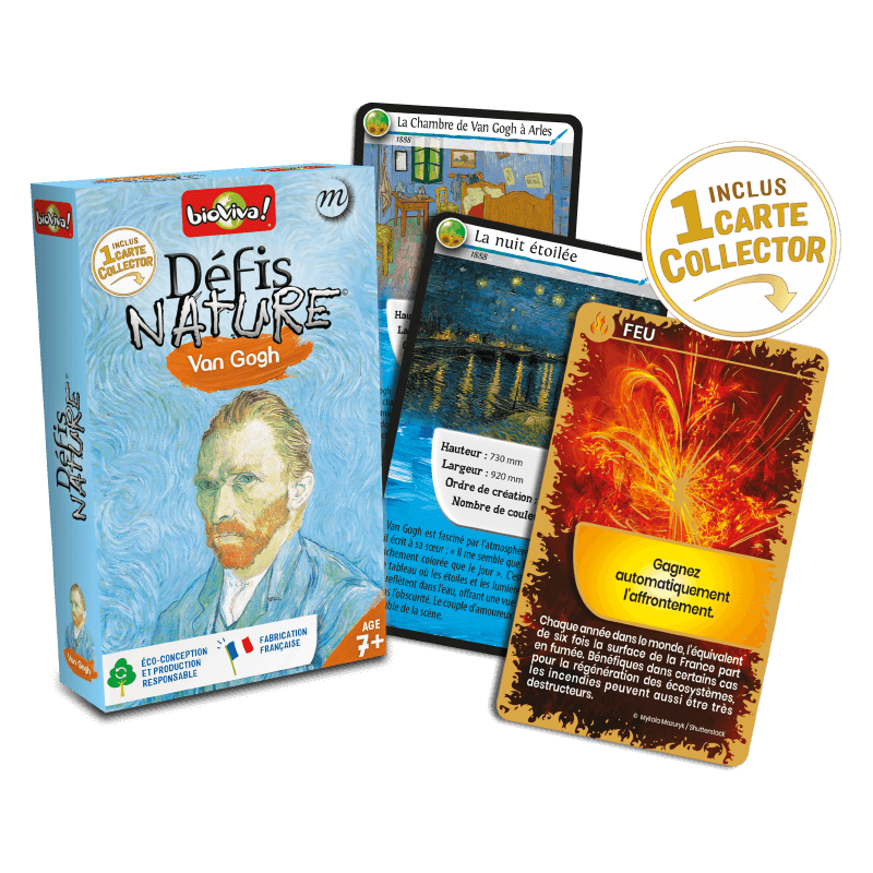 Défis Nature - Vincent Van Gogh