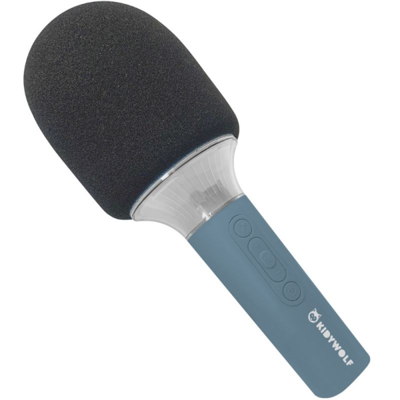 Micro Karaoke Bleu