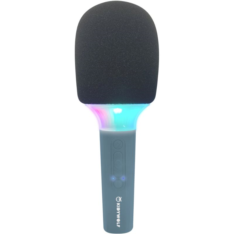 Micro Karaoke Bleu