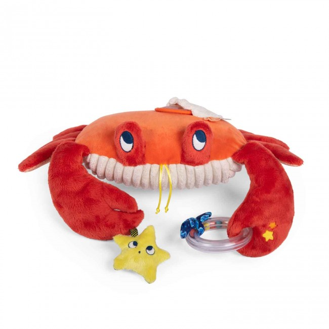 Grand crabe d'activités - Les aventures de Paulie