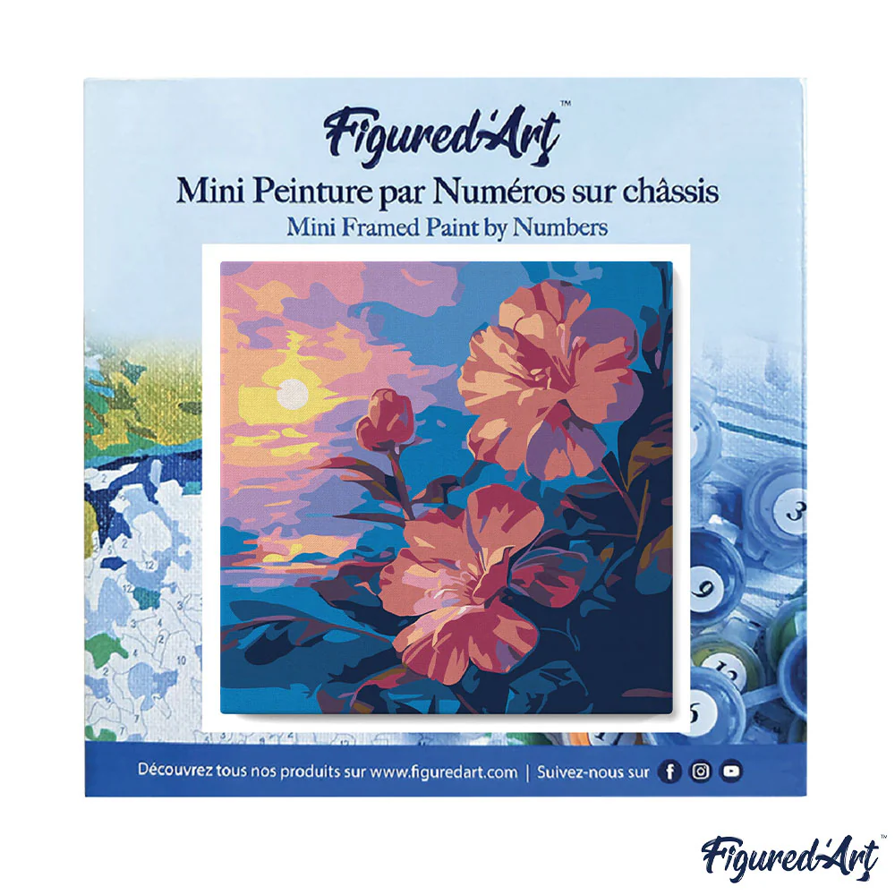 Mini Peinture par Numéros Figured'Art - Hibiscus au coucher de soleil