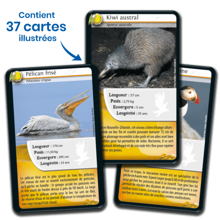 Defis Nature - Oiseaux - Nouvelle Edition