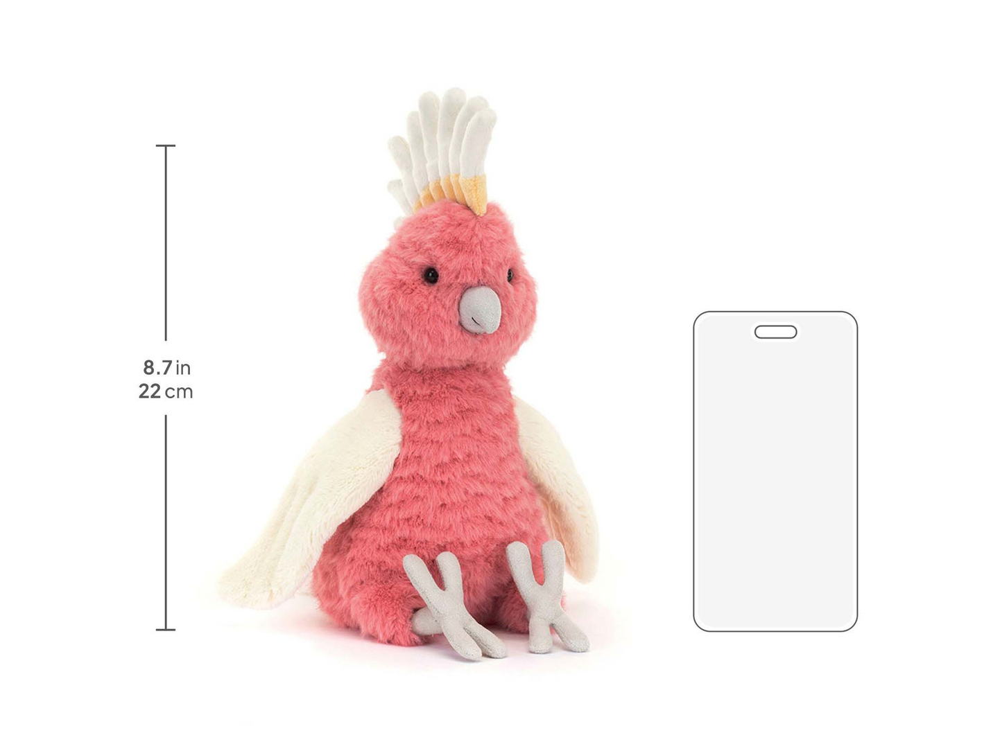 Squawkatoo - 25cm x 11cm x 11cm