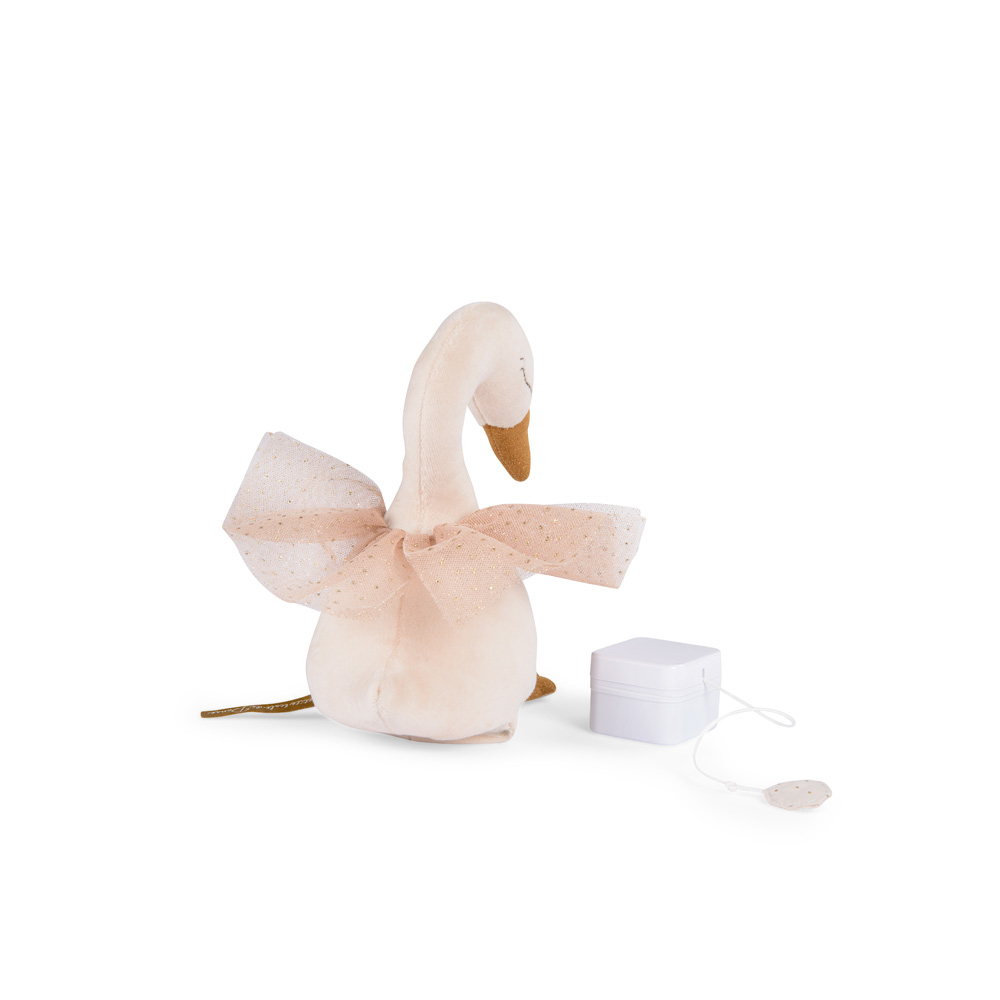 Cygne musical La petite école de danse