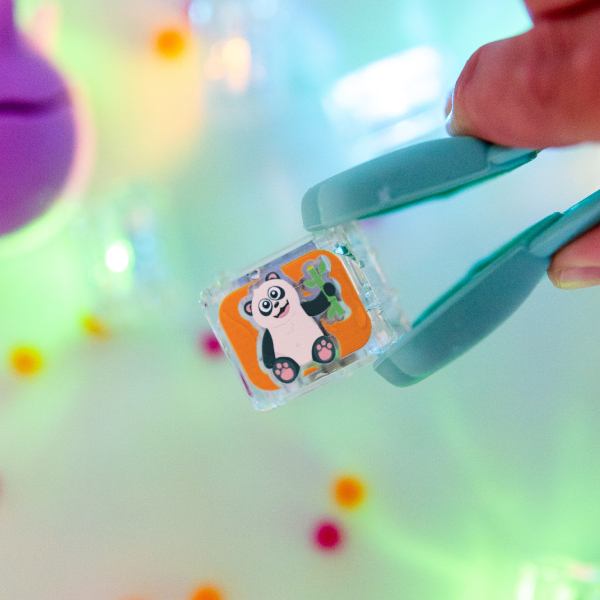 ZANY ZOO CUBES