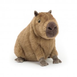 Clyde Capybara - 21 x 24 cm