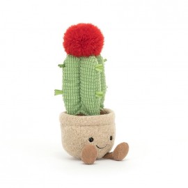 Amuseable Moon Cactus - 21 x 7 cm