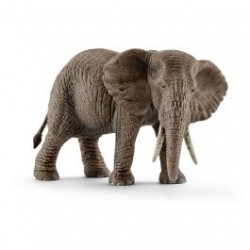 Elephant d'Afrique femelle...