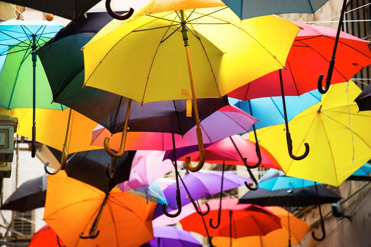 Parapluie