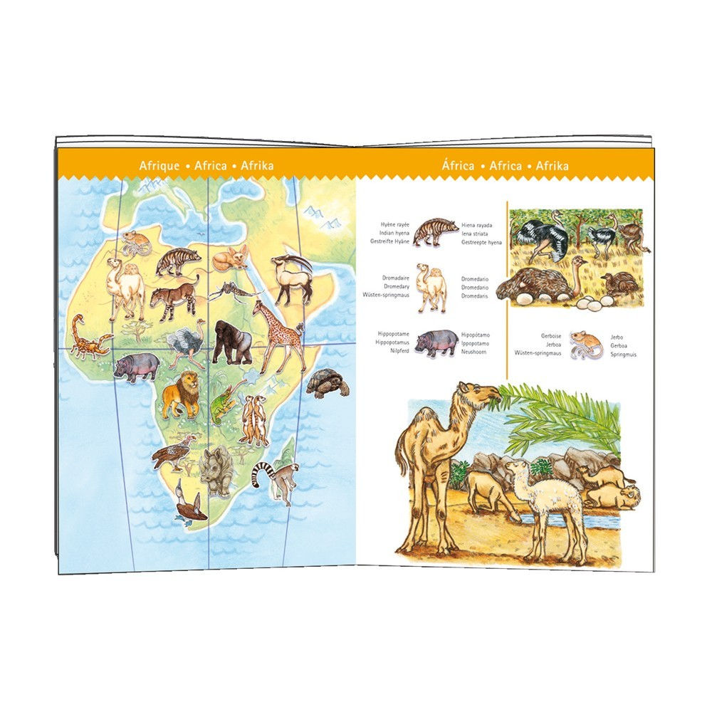 Les Animaux du Monde - 100 pcs - Puzzle Observation + Livret