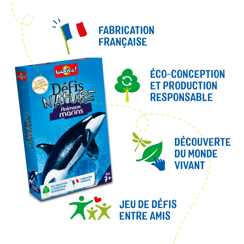 Defis Nature - Animaux Marins