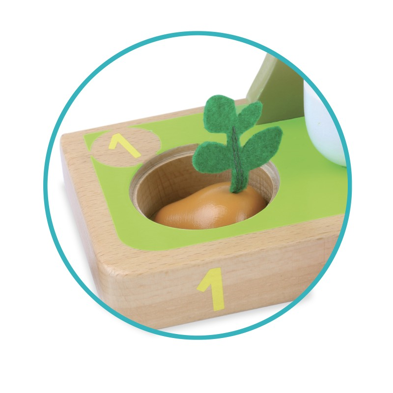 J'apprend à compter les légumes