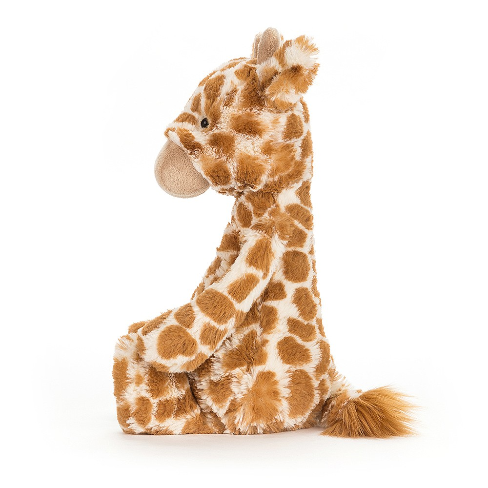 Bashful Giraffe - 31 x 12 cm