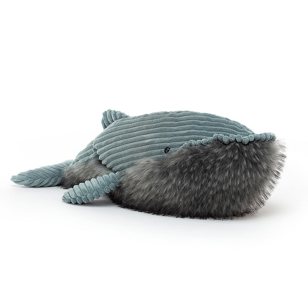 Wiley Whale - 17 x 50 cm