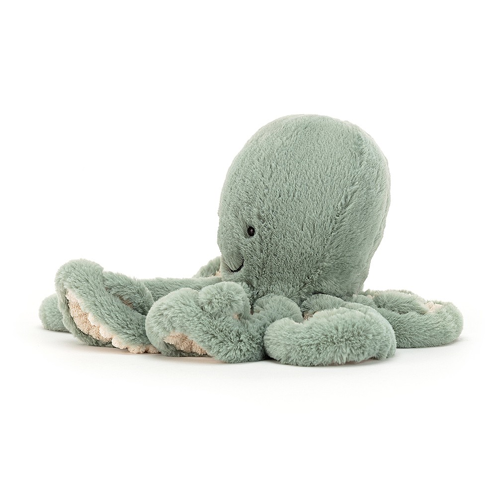 Odyssey Octopus Little- 23 x 11 cm