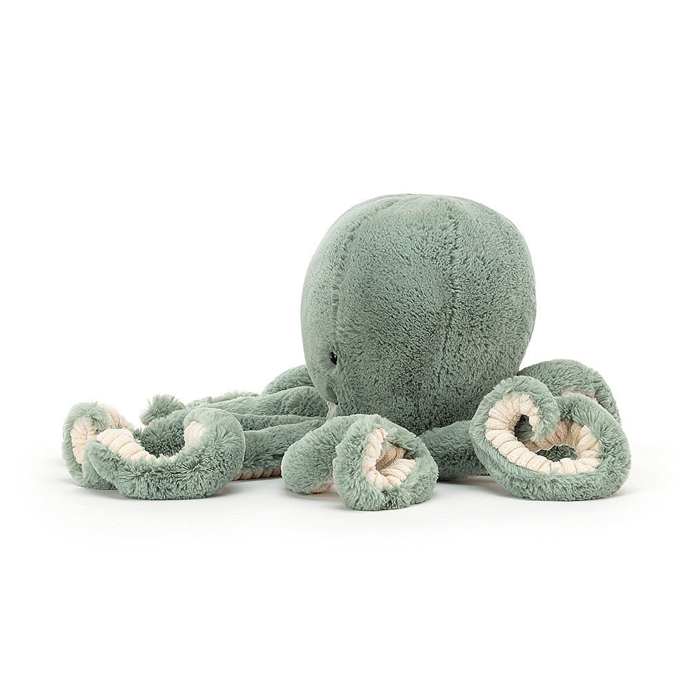 Odyssey Octopus Medium - 49 cm