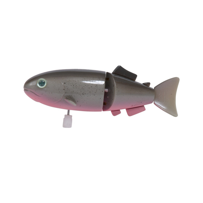 Poisson gris Les petites merveilles