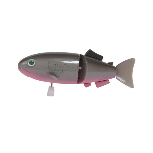 Poisson gris Les petites merveilles