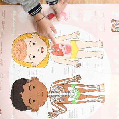 DISCOVERY - POSTER ÉDUCATIF + 49 STICKERS LE CORPS HUMAIN (3-7 ANS)