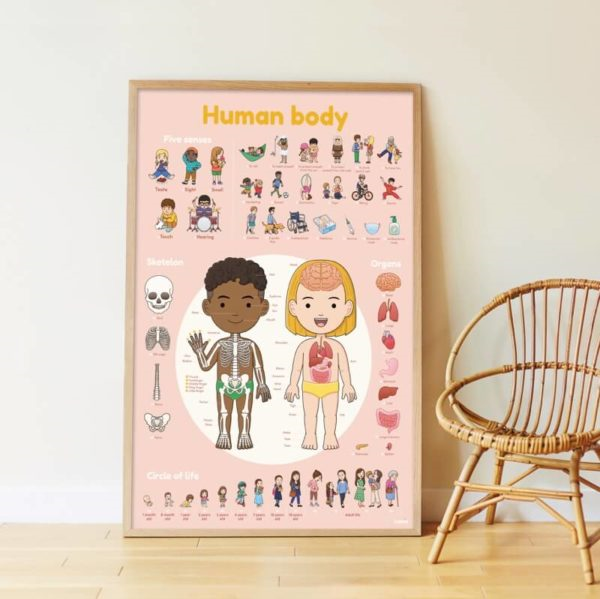 DISCOVERY - POSTER ÉDUCATIF + 49 STICKERS LE CORPS HUMAIN (3-7 ANS)