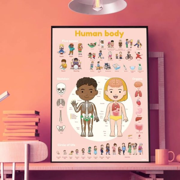 DISCOVERY - POSTER ÉDUCATIF + 49 STICKERS LE CORPS HUMAIN (3-7 ANS)