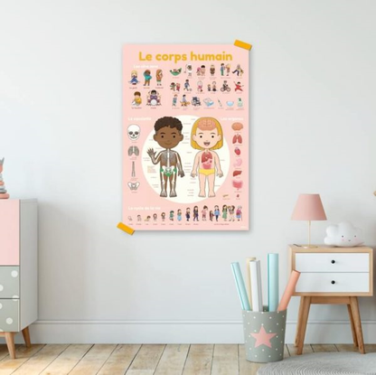 DISCOVERY - POSTER ÉDUCATIF + 49 STICKERS LE CORPS HUMAIN (3-7 ANS)