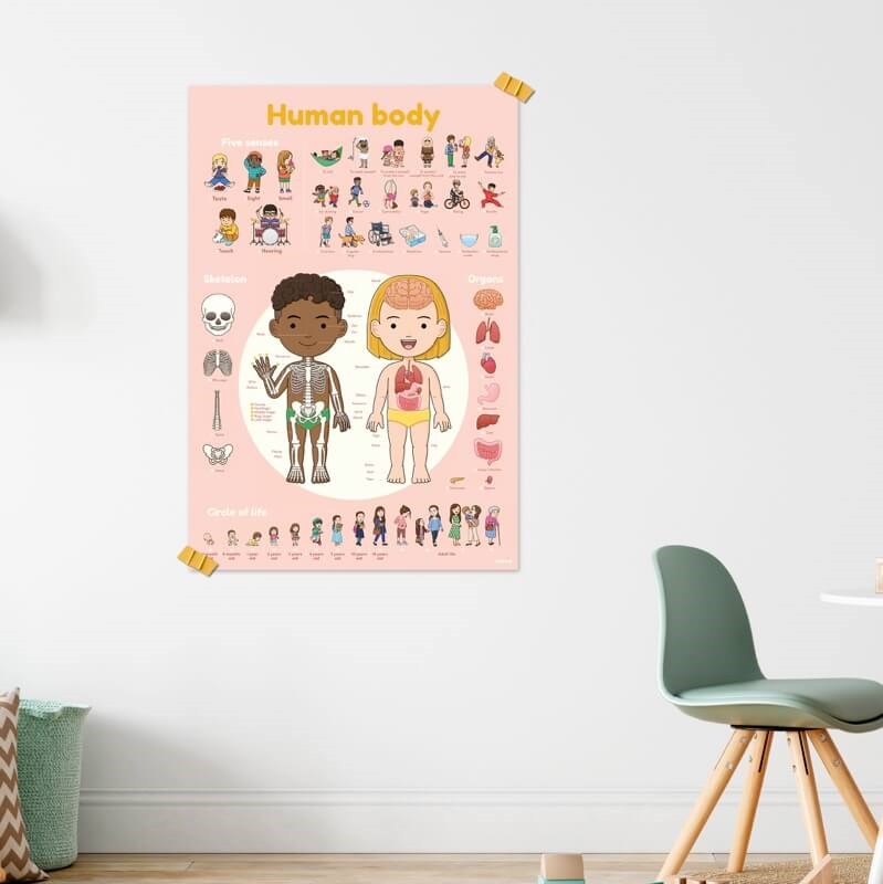 DISCOVERY - POSTER ÉDUCATIF + 49 STICKERS LE CORPS HUMAIN (3-7 ANS)