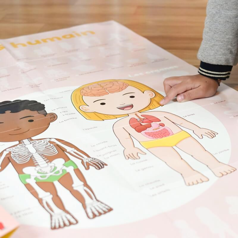 DISCOVERY - POSTER ÉDUCATIF + 49 STICKERS LE CORPS HUMAIN (3-7 ANS)