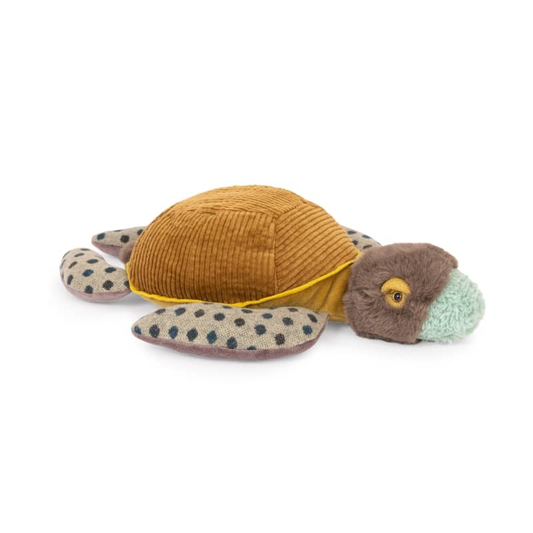 Petite tortue - Tout autour du monde