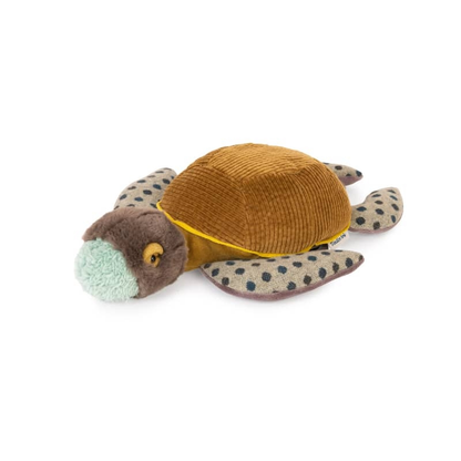 Petite tortue - Tout autour du monde
