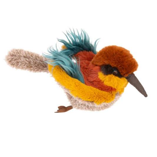Oiseau guêpier - Tout autour du monde