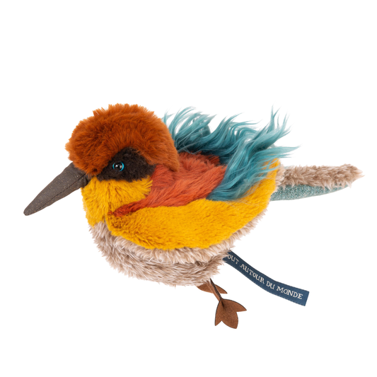 Oiseau guêpier - Tout autour du monde
