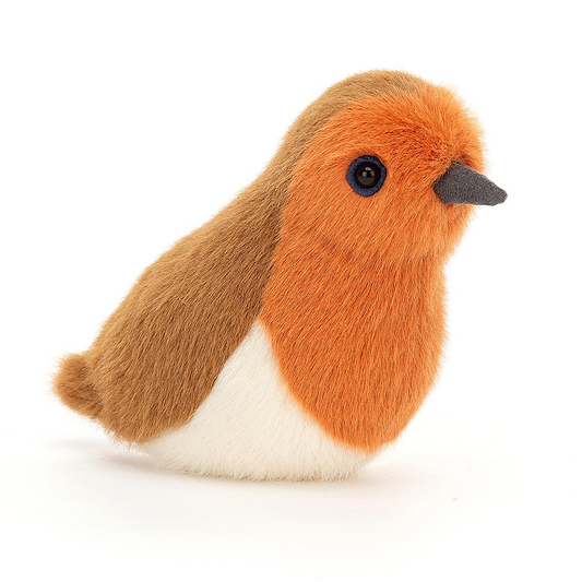 Birdling robin - 10 x 7 cm