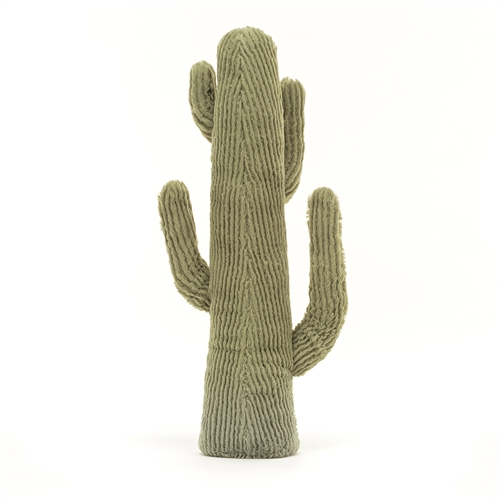 Amuseable Desert Cactus - 40 x 18 cm