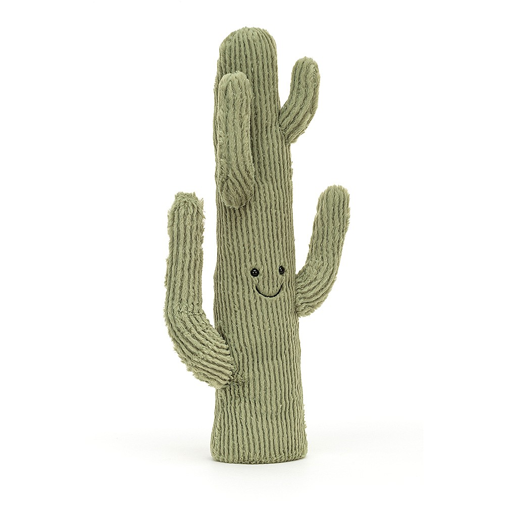 Amuseable Desert Cactus - 40 x 18 cm