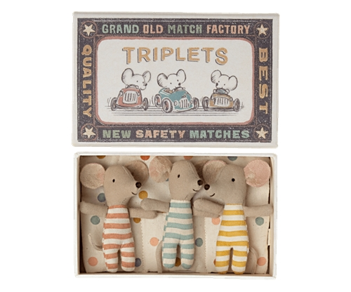 Triplets, Baby mice in matchbox