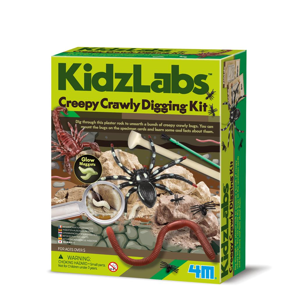 Kit D'Excavation D'Insecte