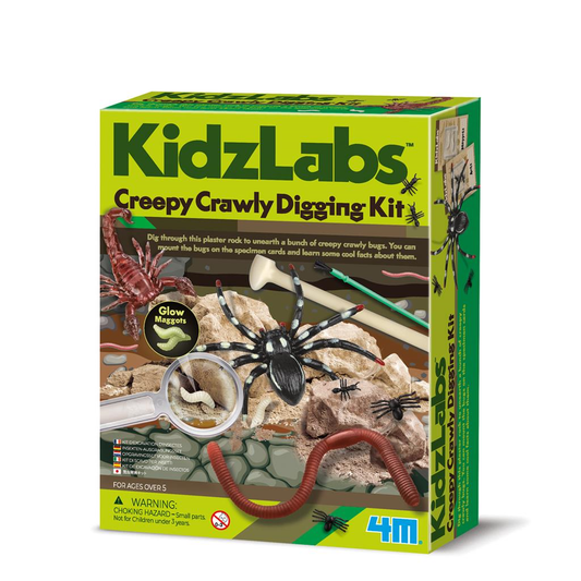 Kit D'Excavation D'Insecte