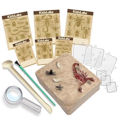 Kit D'Excavation D'Insecte
