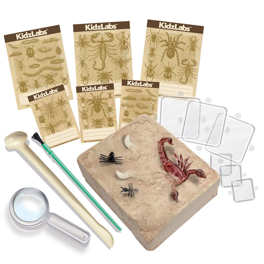 Kit D'Excavation D'Insecte