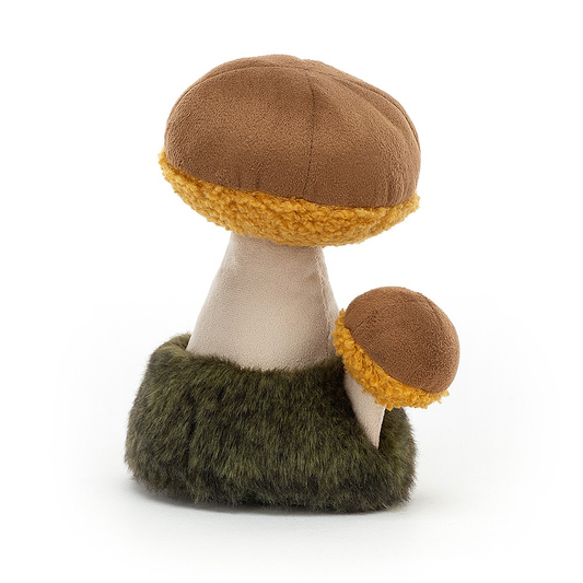 Wild Nature Boletus Mushroom - 15 x 11 cm