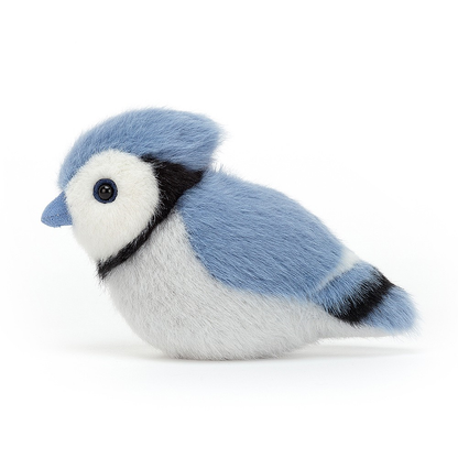 Birdling Blue Jay - 10 x 7 cm