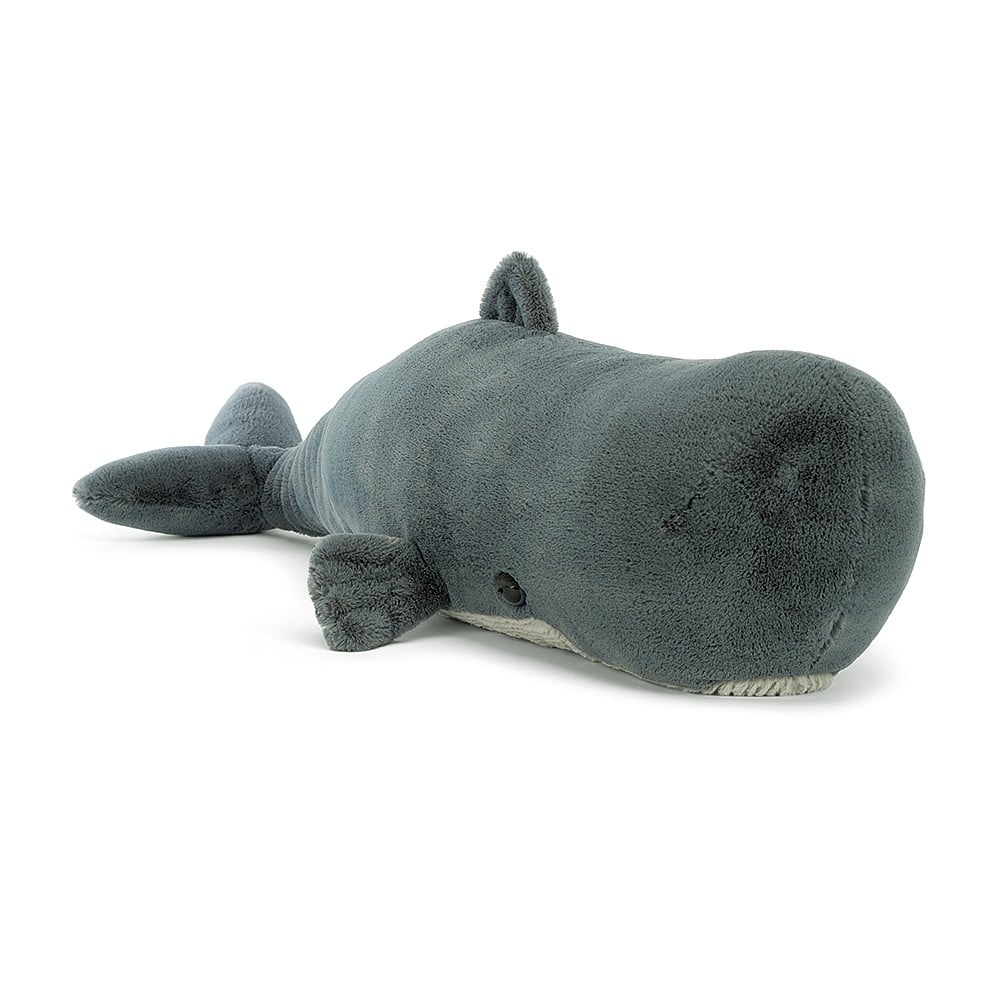 Sullivan the Sperm Whale - 14 x 54 cm