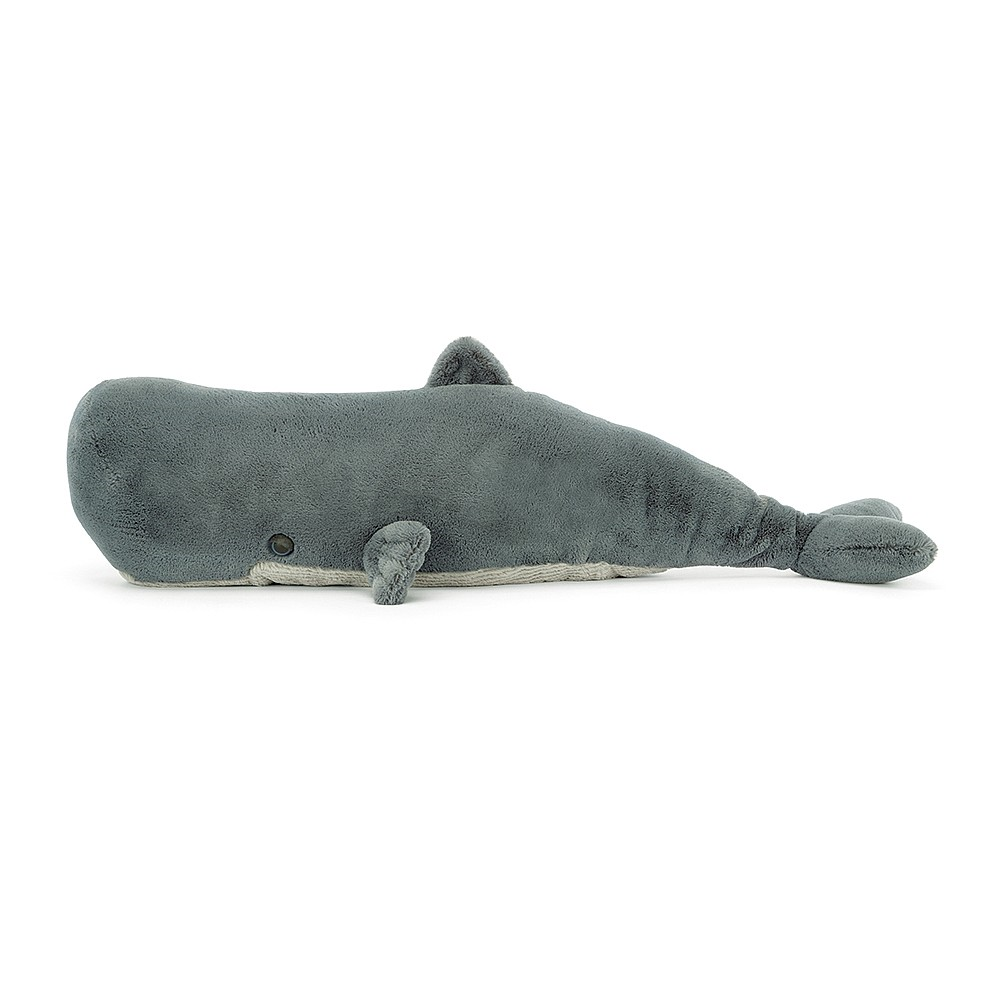 Sullivan the Sperm Whale - 14 x 54 cm