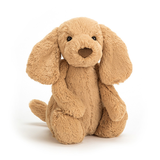 Bashful Toffee Puppy small - 18 x 9 cm