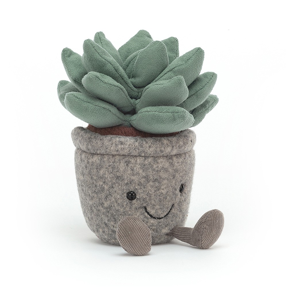 Silly Succulent Azulita Cactus - 15 x 10 cm