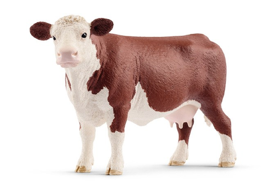 Vache Hereford