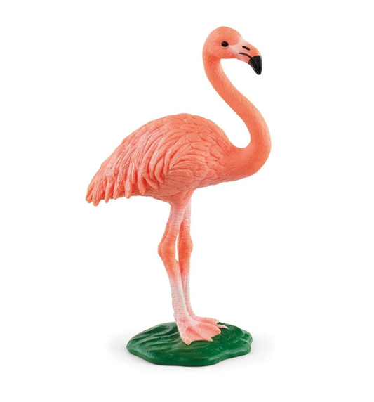 Flamant Rose